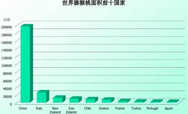 世界猕猴桃种植面积前十位的国家