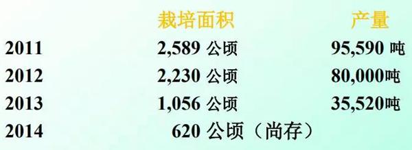 ‘Hort16A’ (Zespri® Gold Kiwifruit) 即将从新西兰消失