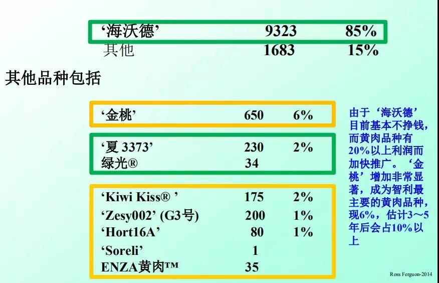 红心猕猴桃