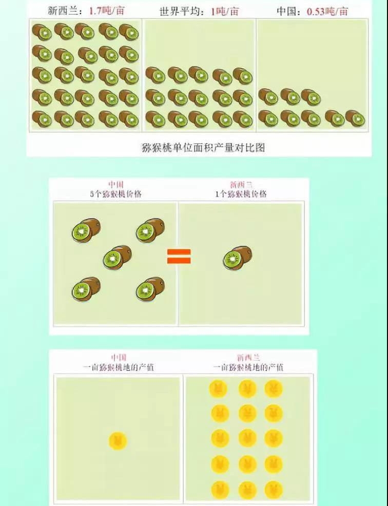 新西兰佳沛猕猴桃平均售价