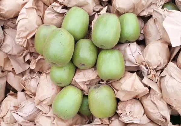 2016年四川蒲江红心猕猴桃基地的批发价格是多少供应