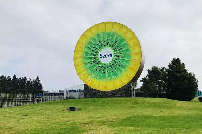 新西兰kiwi360