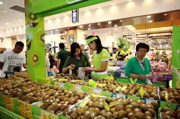 sungold金奇异果