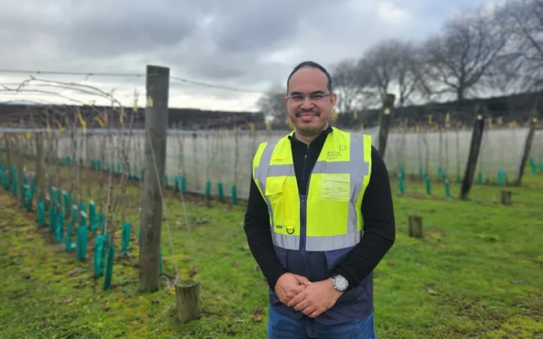 Kiwifruit pickers Kiwifruit pickers