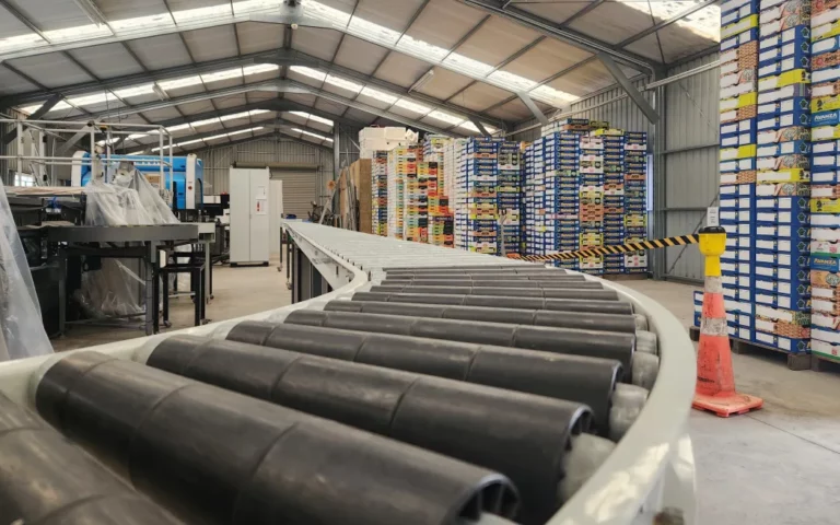 Kiwifruit pickers Kiwifruit pickers