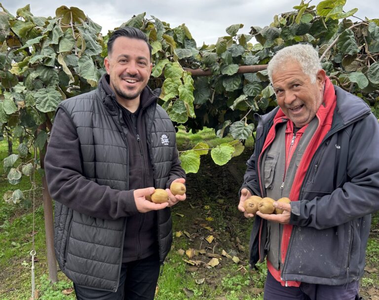 Kiwifruit pickers Kiwifruit pickers