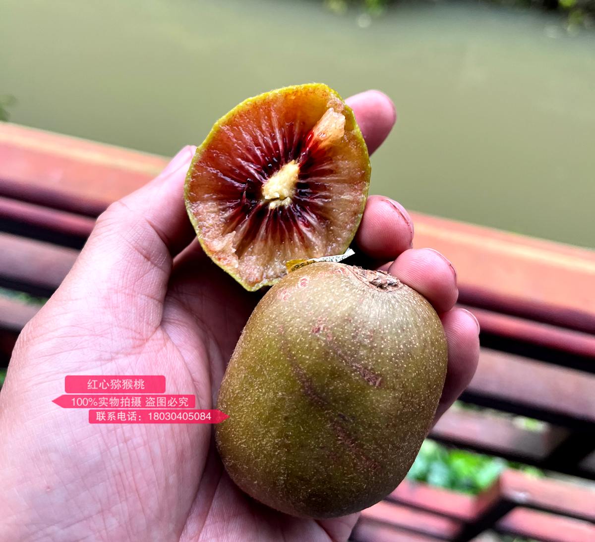 新西兰佳沛的宝石红肉奇异果