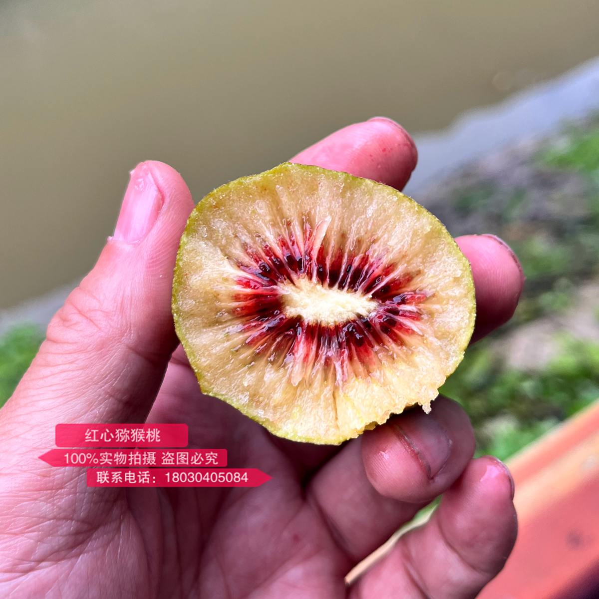 新西兰佳沛的宝石红肉奇异果