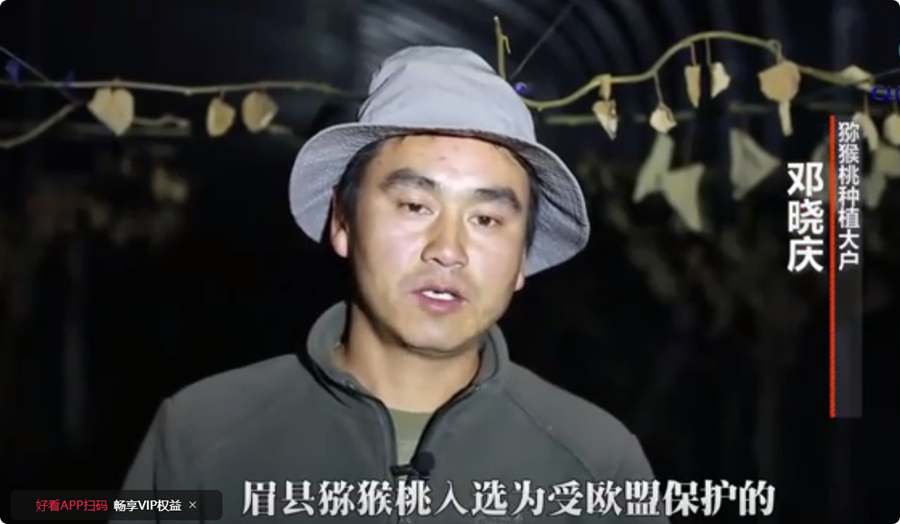 猕猴桃专家邓晓庆
