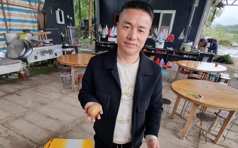 红心猕猴桃 充分授粉的红心猕猴桃