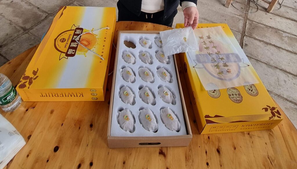 红心猕猴桃 充分授粉的红心猕猴桃