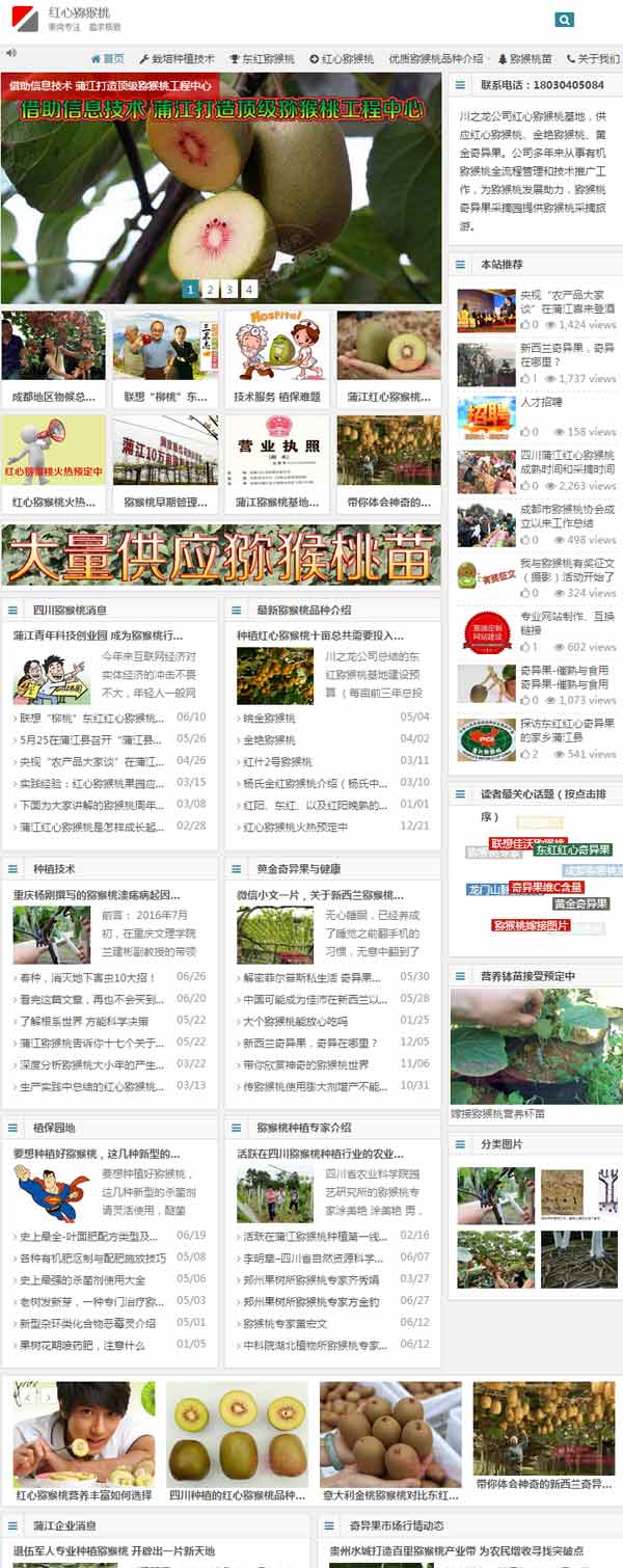 红心猕猴桃网站