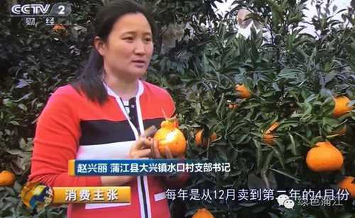 红心猕猴桃