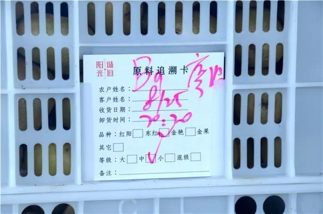 阳光味道猕猴桃