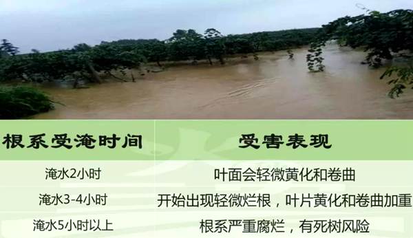 æ´é¨è¿åçº¢å¿çç´æ¡ç°é´ç®¡çåè¯åä½¿ç¨