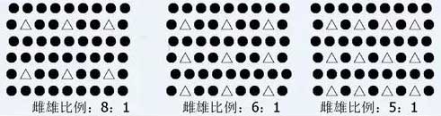 红心猕猴桃标准化生产十大关键技术